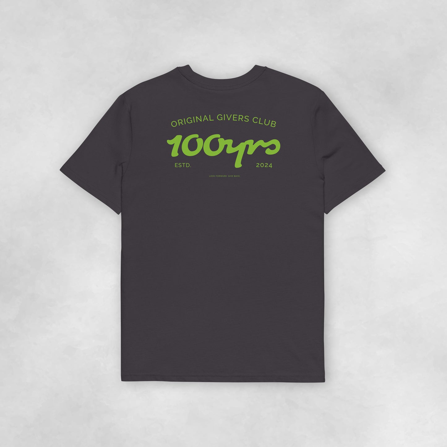 Back view of an anthracite coloured 100% organic cotton t-shirt.