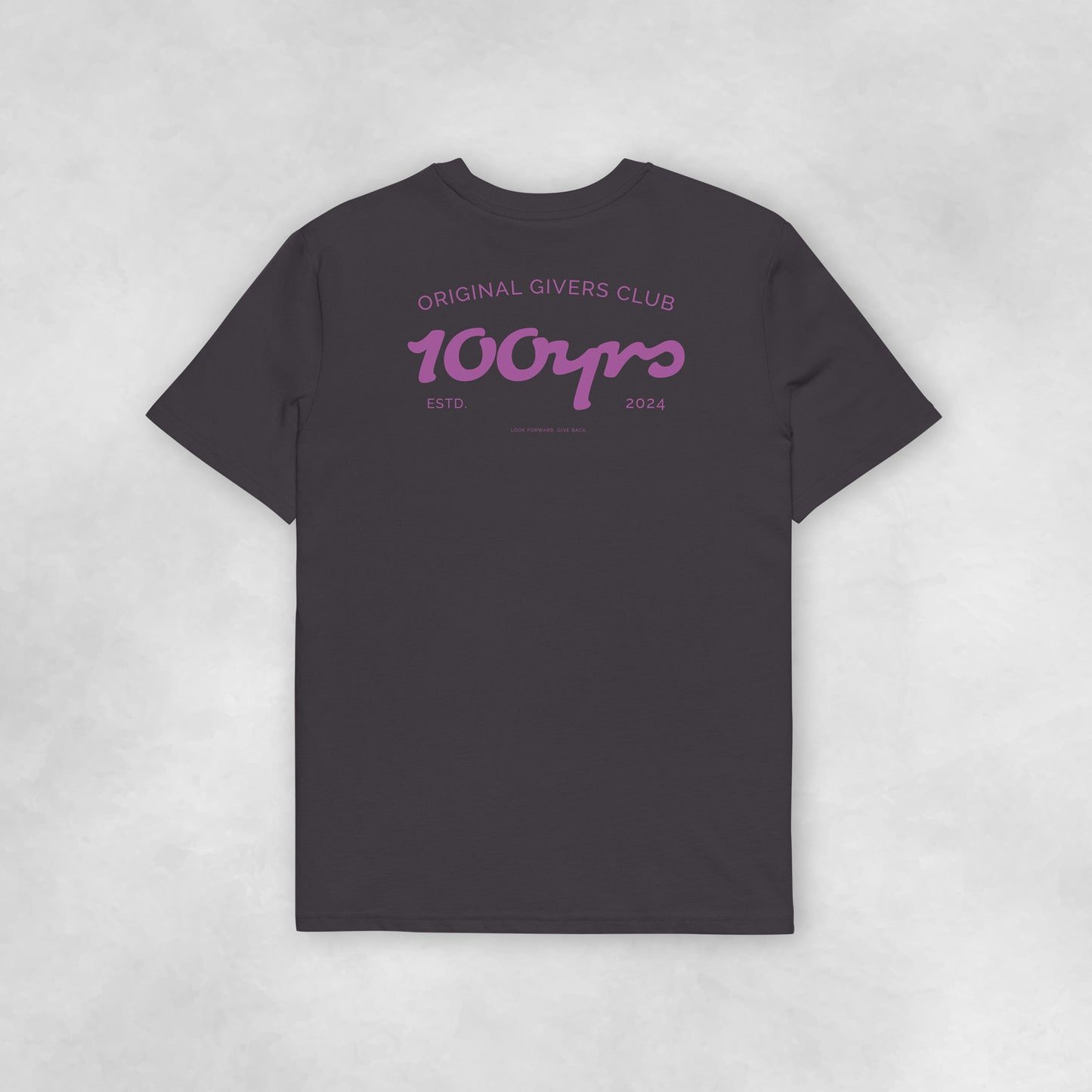 Back view of an anthracite coloured 100% organic cotton t-shirt.