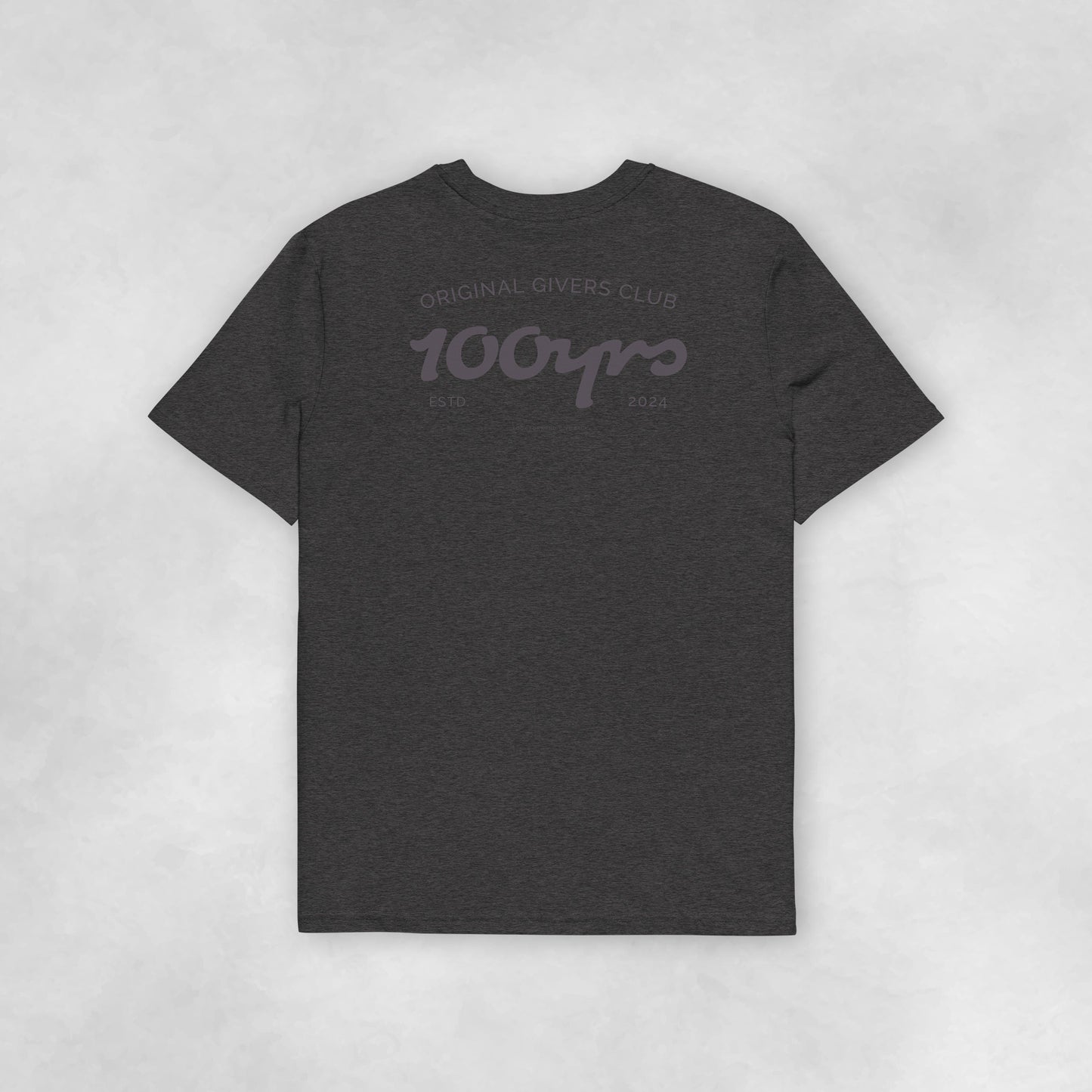 Back view of a dark heather grey coloured 100% organic cotton t-shirt.