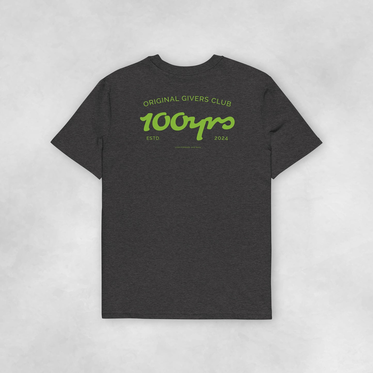 Back view of a dark heather grey coloured 100% organic cotton t-shirt.