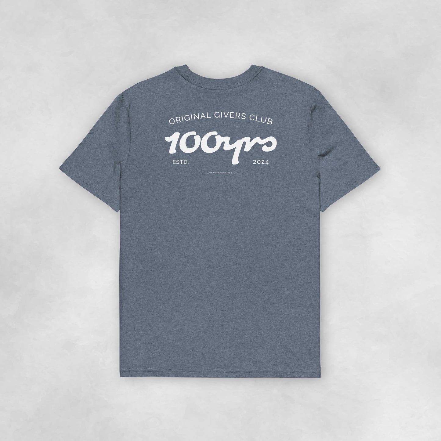 Back view of a dark heather blue coloured 100% organic cotton t-shirt.
