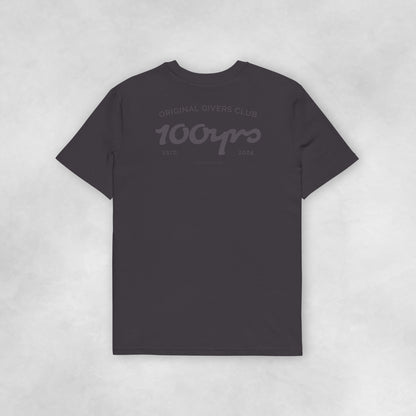 Back view of an anthracite coloured 100% organic cotton t-shirt.