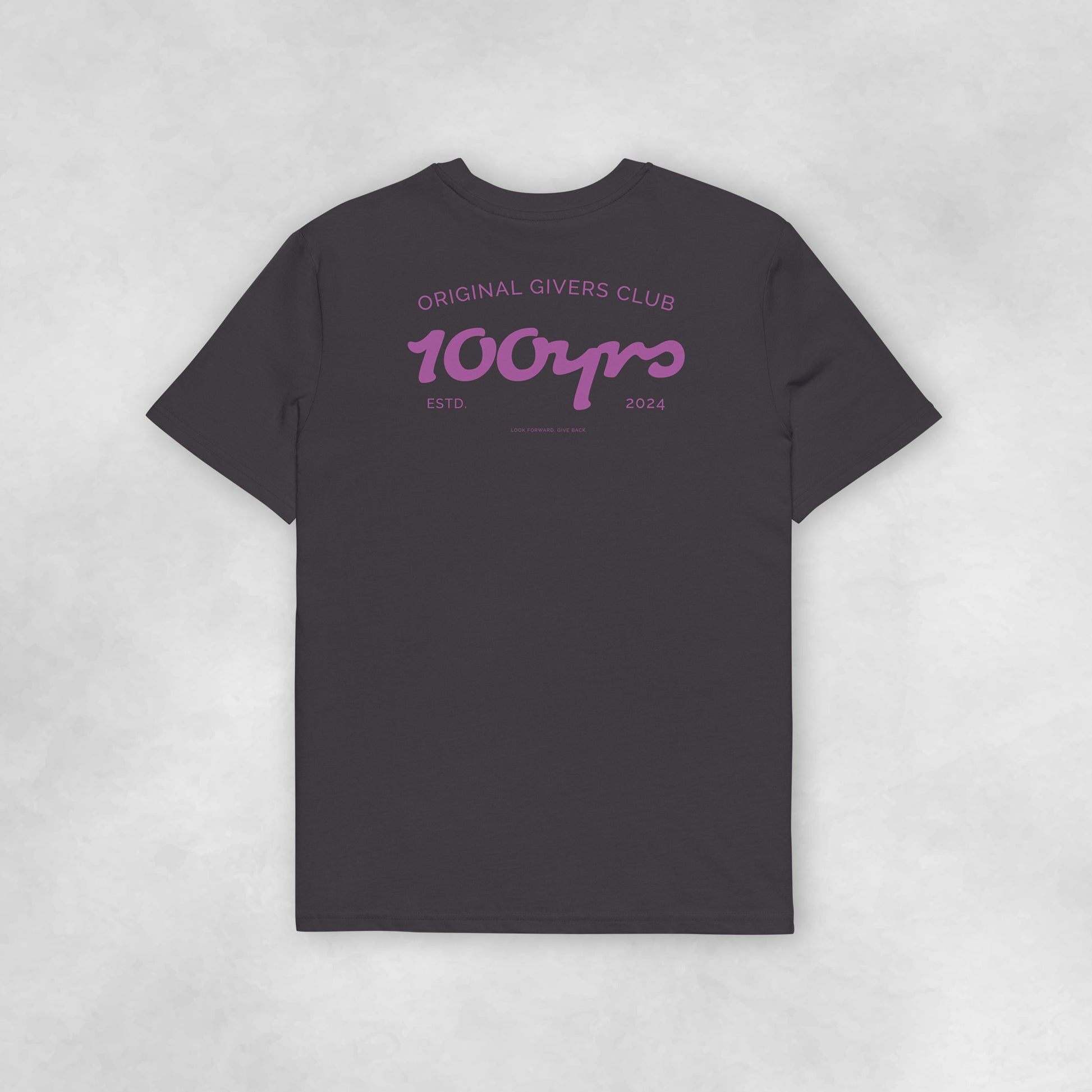 Back view of an anthracite coloured 100% organic cotton t-shirt.