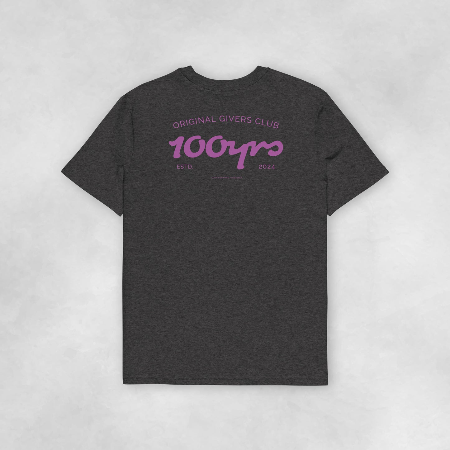 Back view of a dark heather grey coloured 100% organic cotton t-shirt.