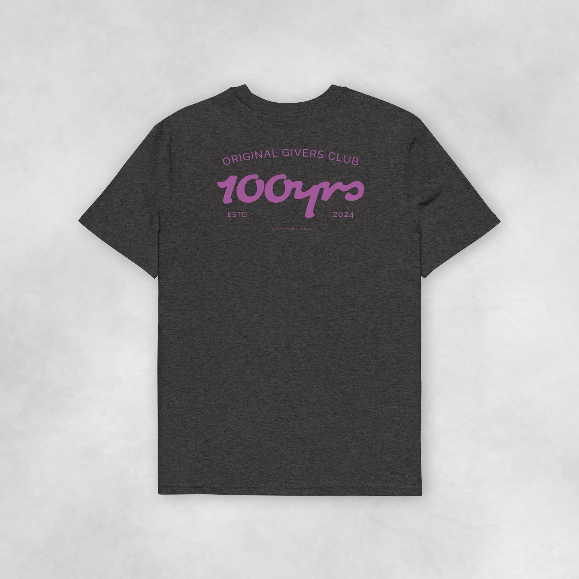 Back view of a dark heather grey coloured 100% organic cotton t-shirt.